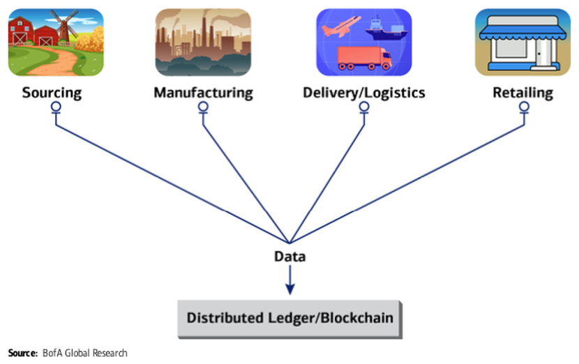 图表 3:供应链的未来状态——参与者维护分布式(共享)基础设施