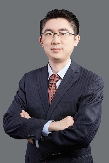 数字货币的多元投资策略:如何优化您的资产组合_货币体系多元化是什么意思_多元化货币体系